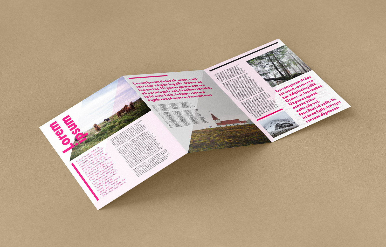 A4 Tri Fold Brochure Template Psd Free Download