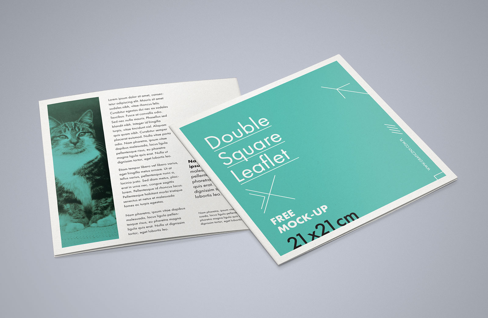 Free-Square-Bi-Fold-Brochure-Mockup-PSD-file