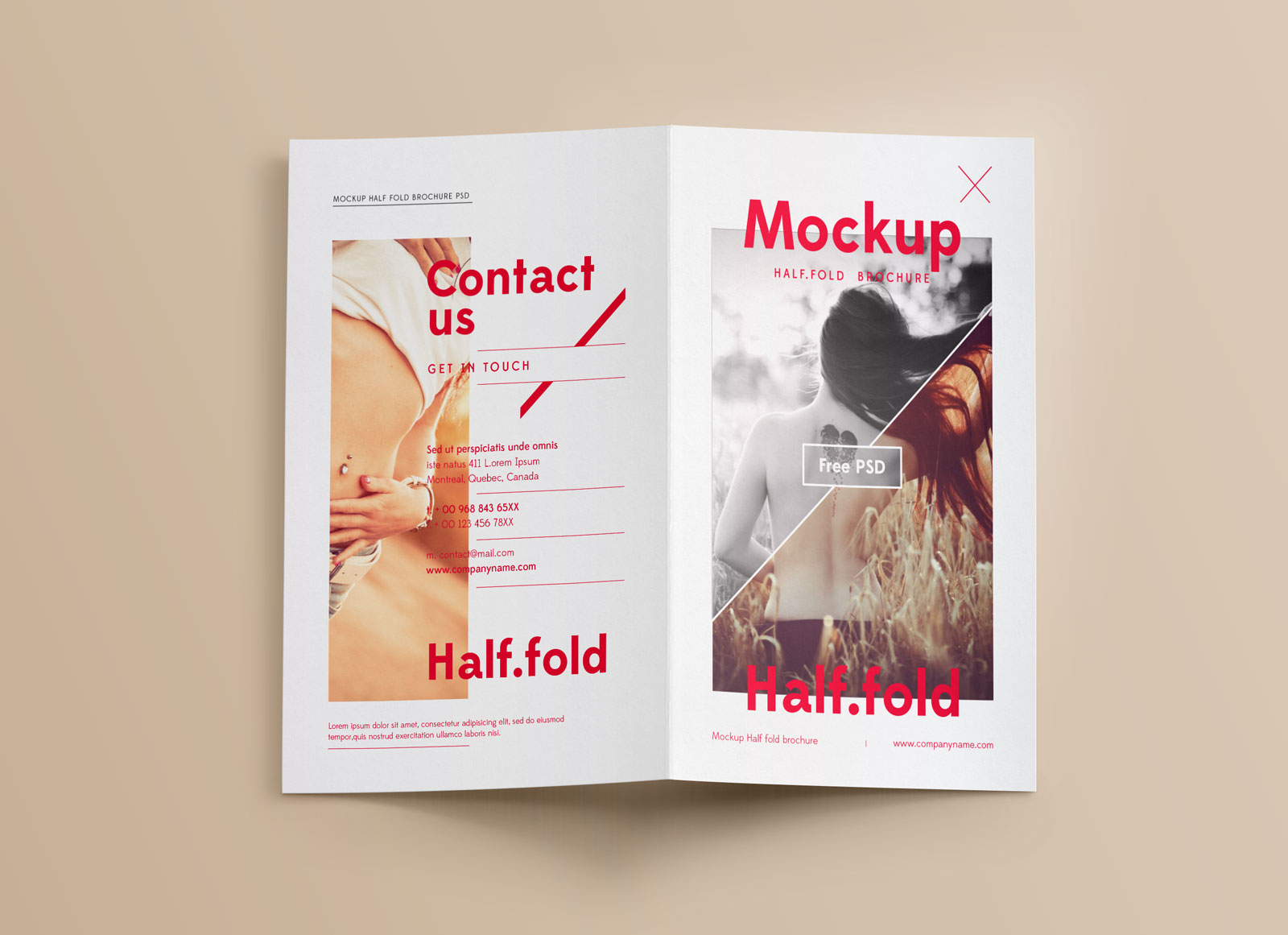 Download Free Realistic Bi Fold Brochure Mockup Psd Good Mockups