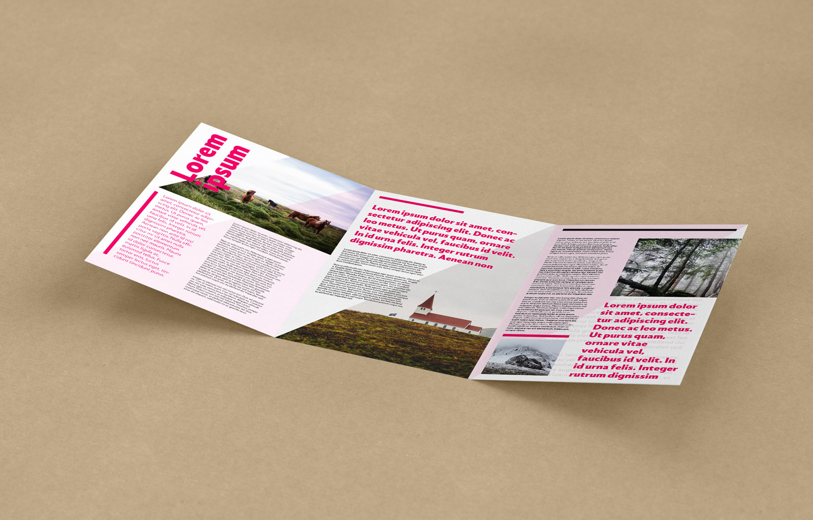 Free-Tri-Fold-A4-Brochure-Mockup-PSD