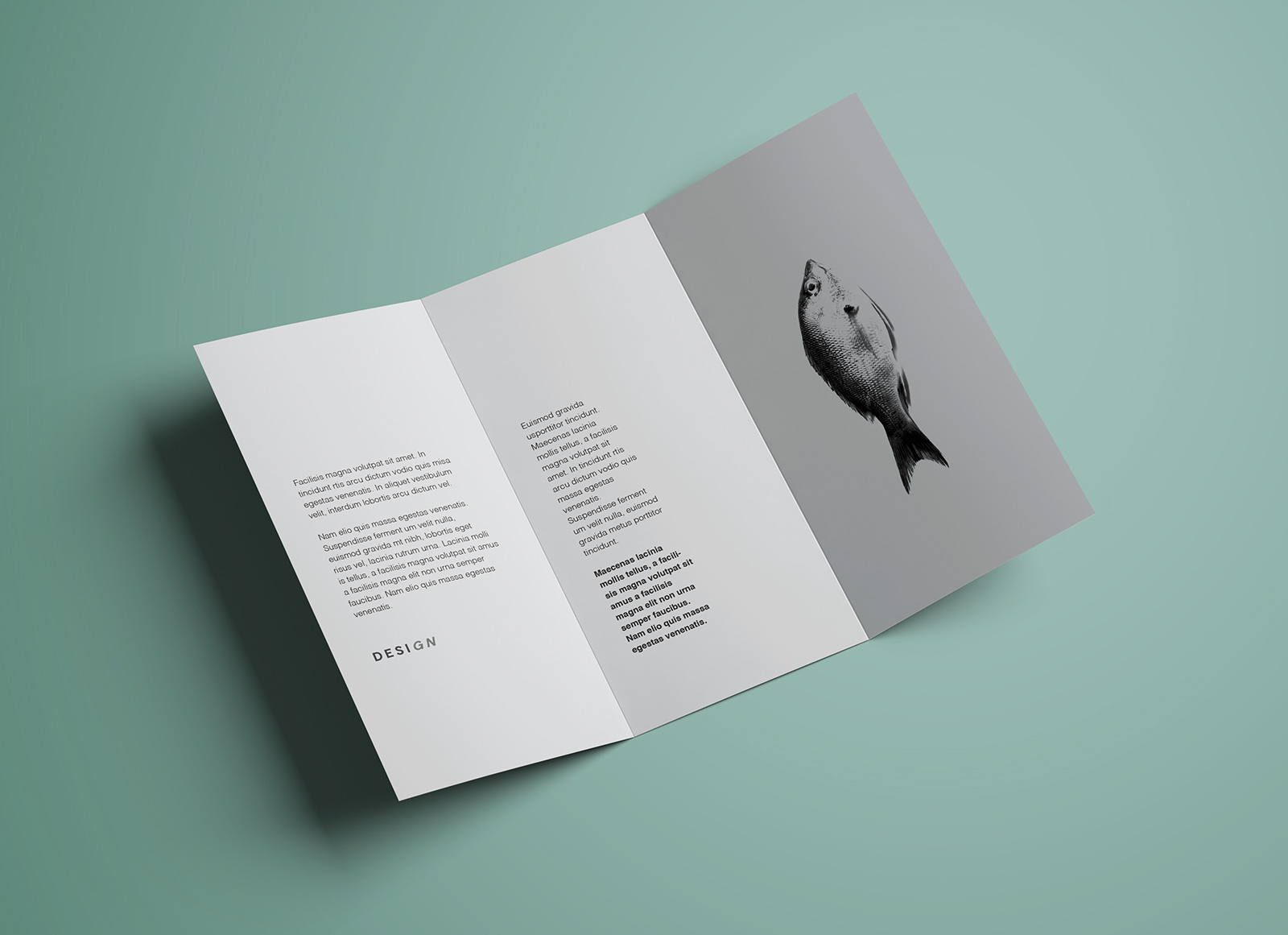 Free Premium Tri Fold Brochure Mockup PSD Good Mockups