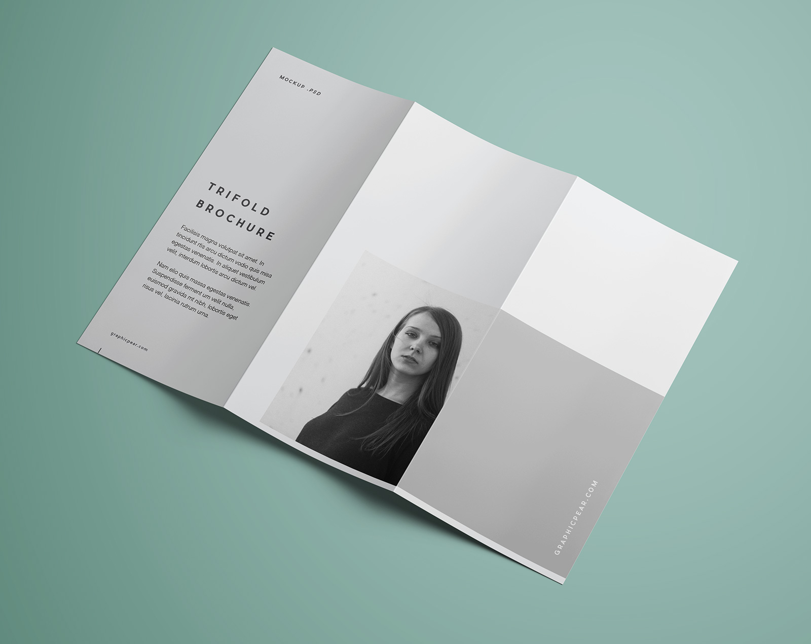 Free tri fold brochure folded mockup Idea