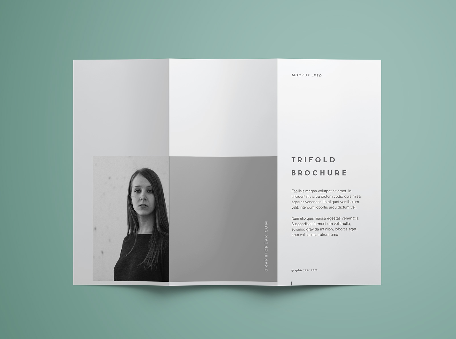 Tri Fold Brochure Free Template from goodmockups.com