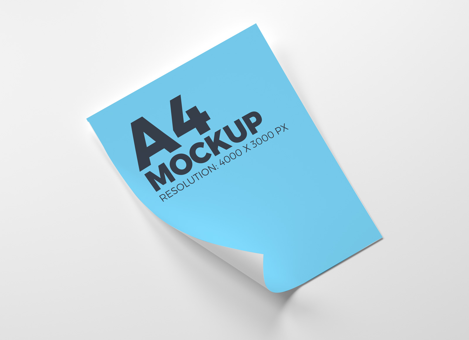 Download Free A4 Letterhead Curl Paper Mockup PSD - Good Mockups