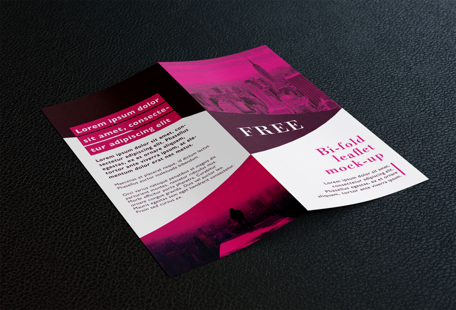 Bi-Fold_Leaflet_Brochure-Mockup_PSD (4)