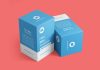 Free-Box-Packaging-Mockup-PSD-package (2)
