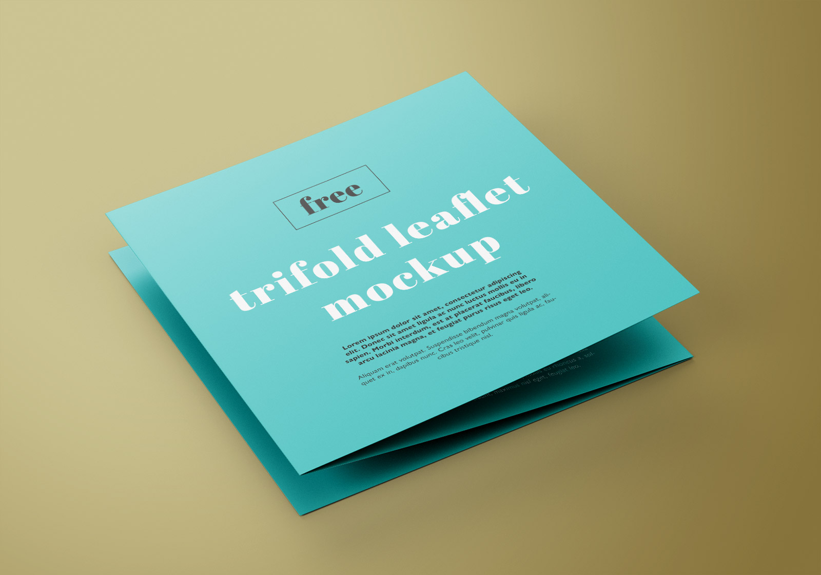 Free Square Tri-Fold Brochure Mockup PSD Set (1)