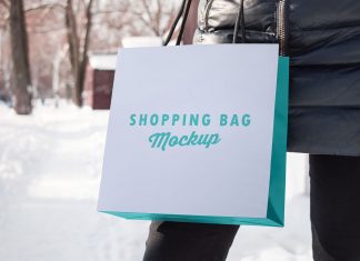 Free-Paper-Shopping-Bag-Photo-Mockup-PSD