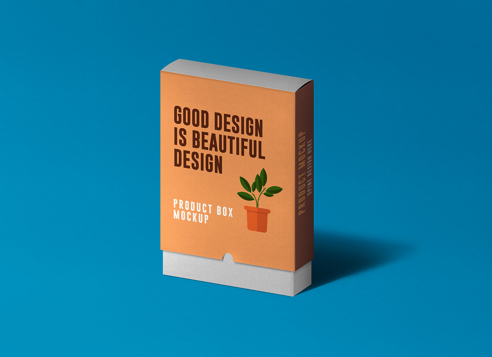 Rectangle Slide Box Mockup