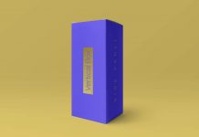 Free-Simple-Vertical-Box-Packaging-Mockup-PSD-3