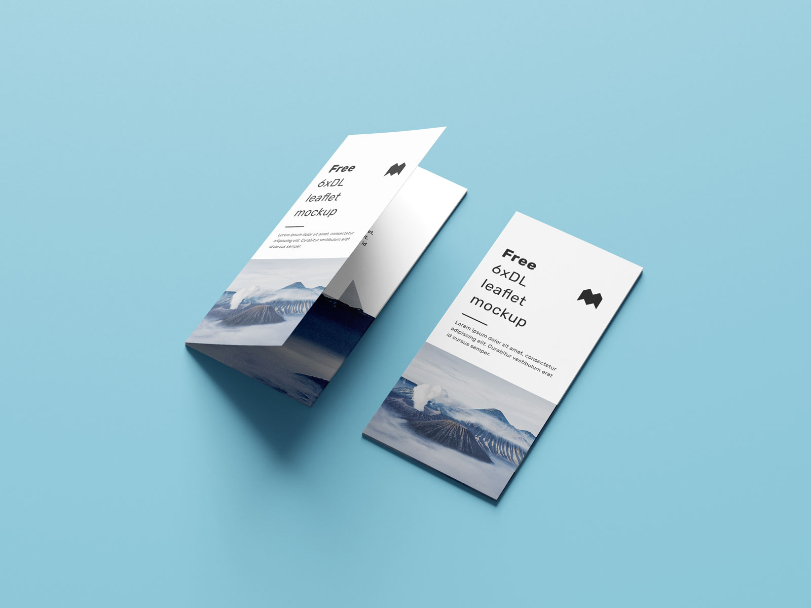 Free 6-Fold Brochure Leaflet DL Mockup PSD Set (4). View all posts in Broch...