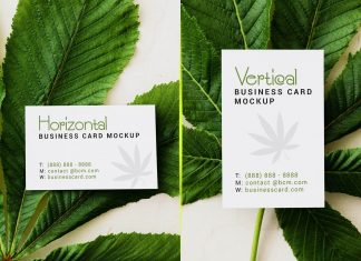 Free-Horizontal-&-Vertical-Nature-Business-Card-Mockup-PSD-Set (1)
