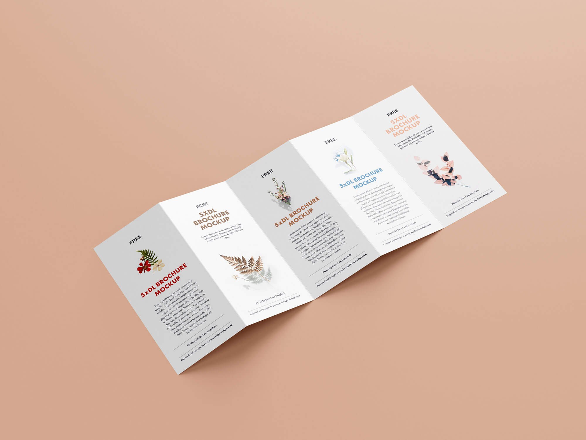 Free 5 Panel Penta-Fold Brochure Mockup PSD Set