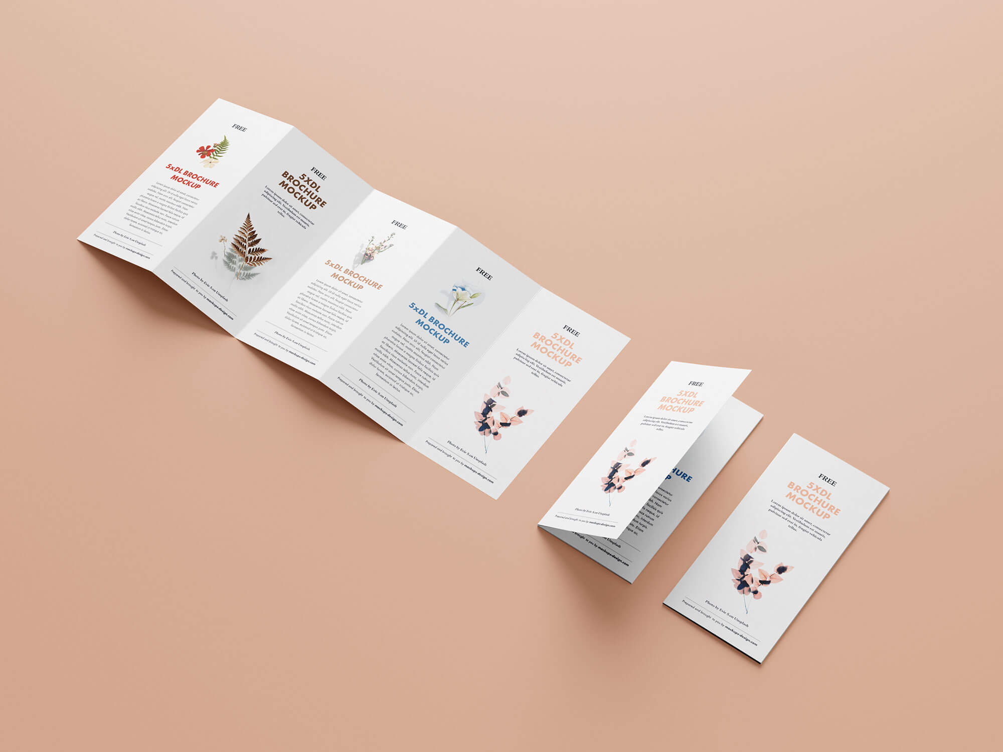 Free 5 Panel Penta-Fold Brochure Mockup PSD Set