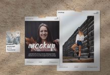 Free-A4-&-A5-Papers-Moodboard-Mockup-PSD-Scene