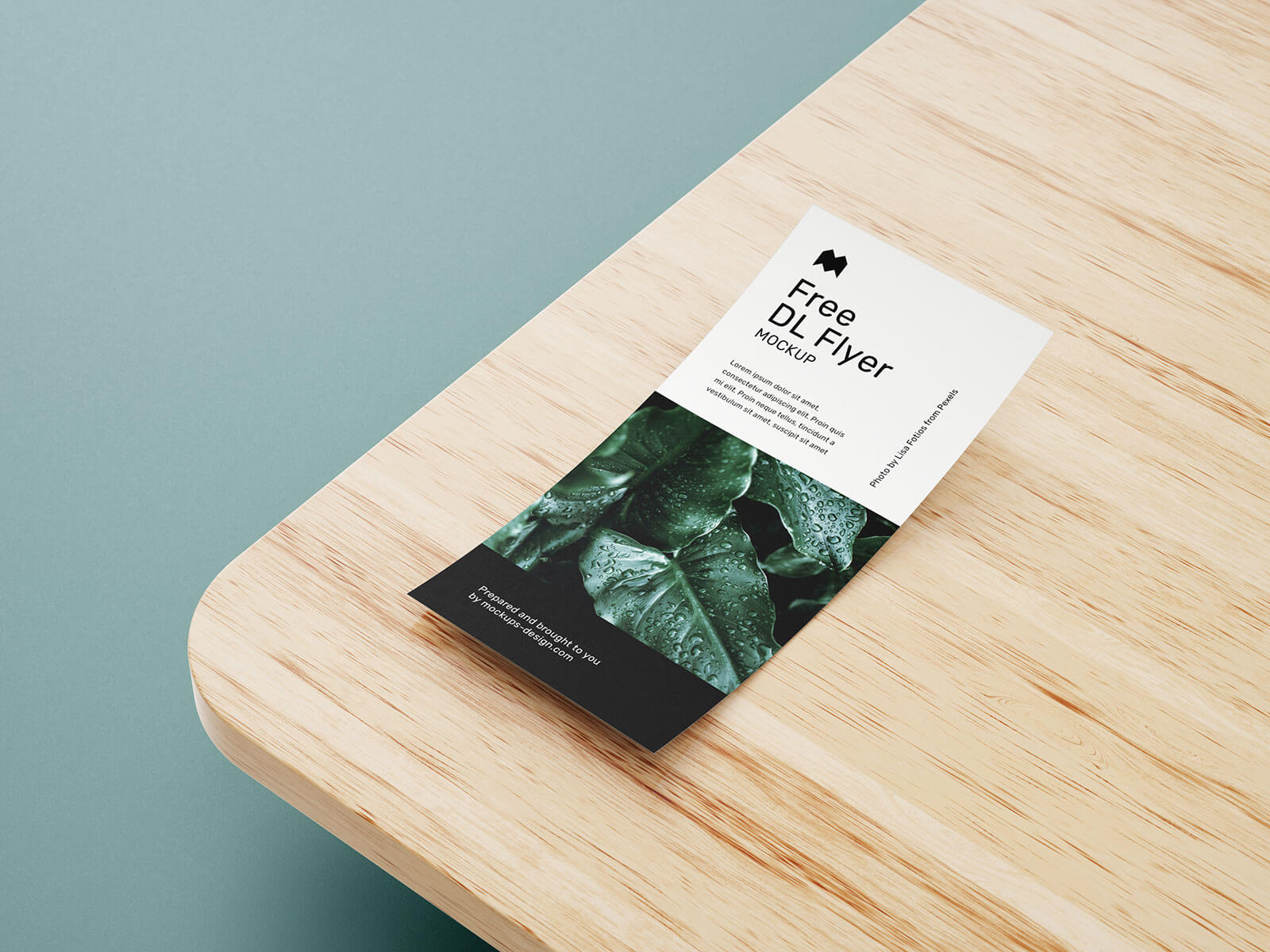 Free DL Flyer Leaflet Mockup PSD Set (6 Templates) (1)