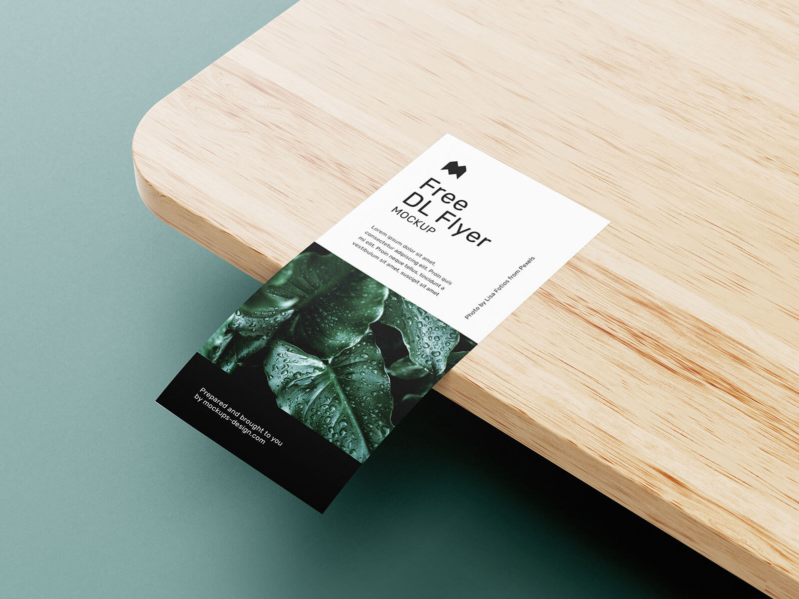 Free DL Flyer Leaflet Mockup PSD Set (6 Templates) (1)