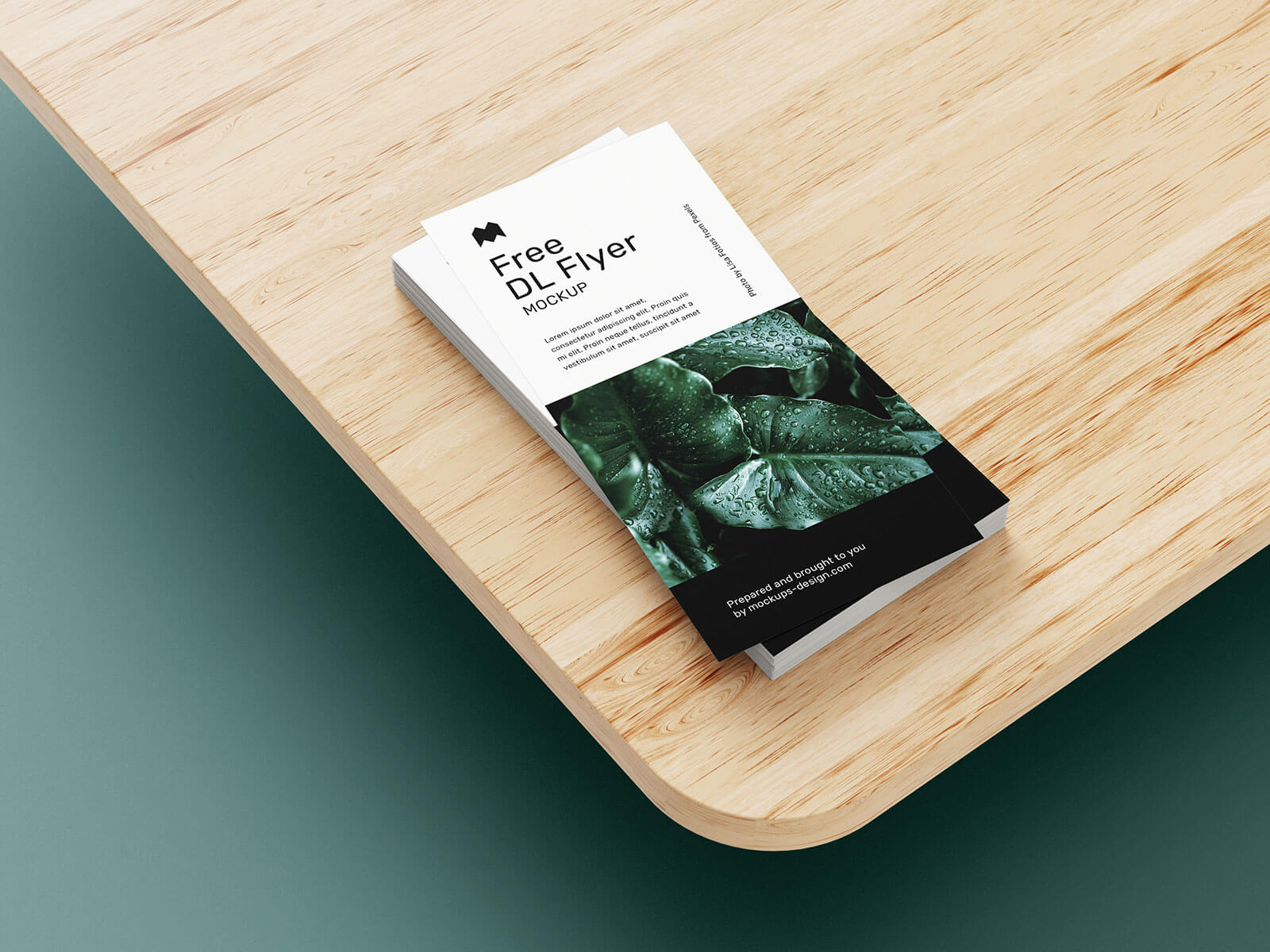 Free DL Flyer Leaflet Mockup PSD Set (6 Templates) (1)