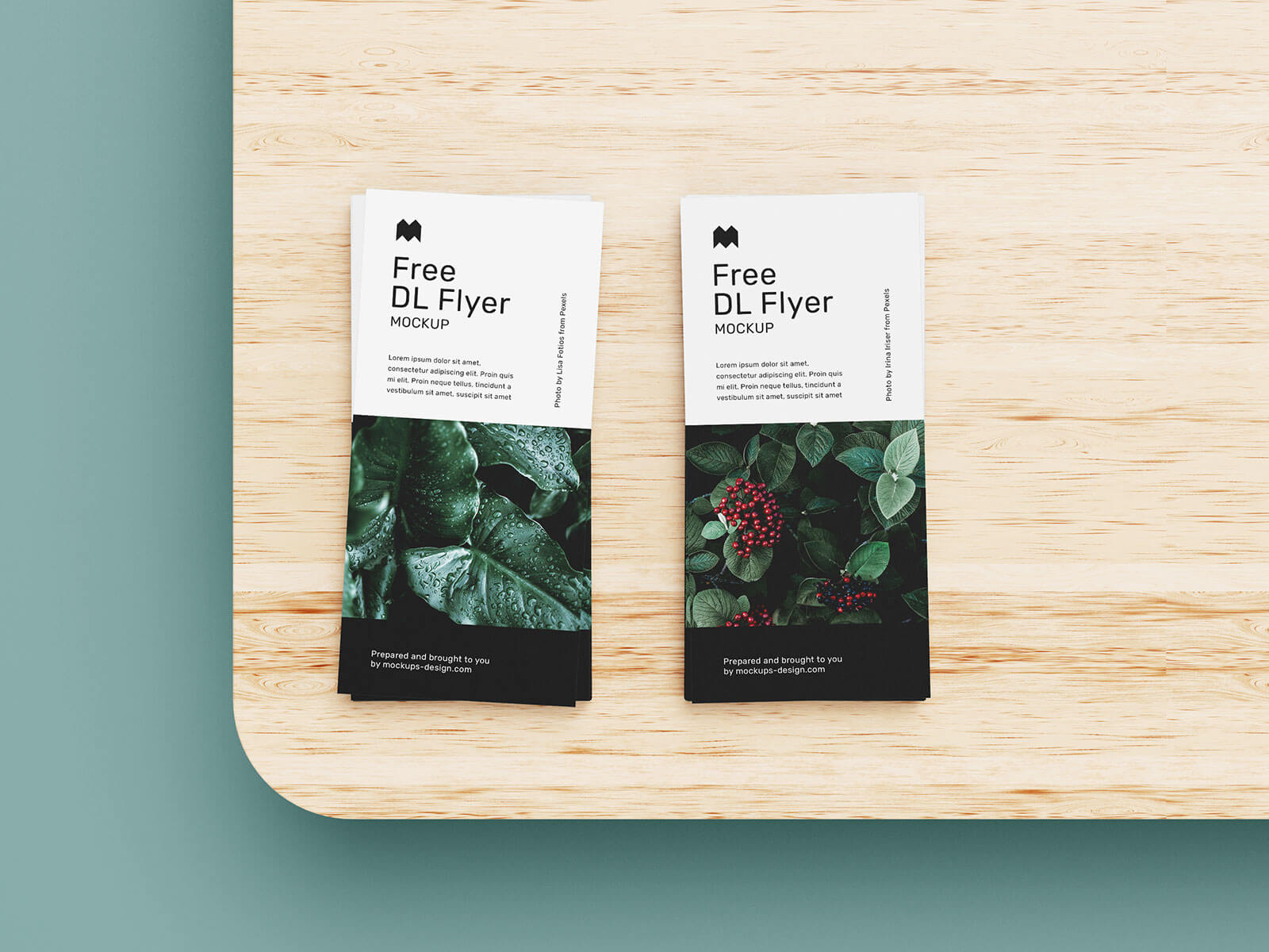 Free DL Flyer Leaflet Mockup PSD Set (6 Templates) (1)