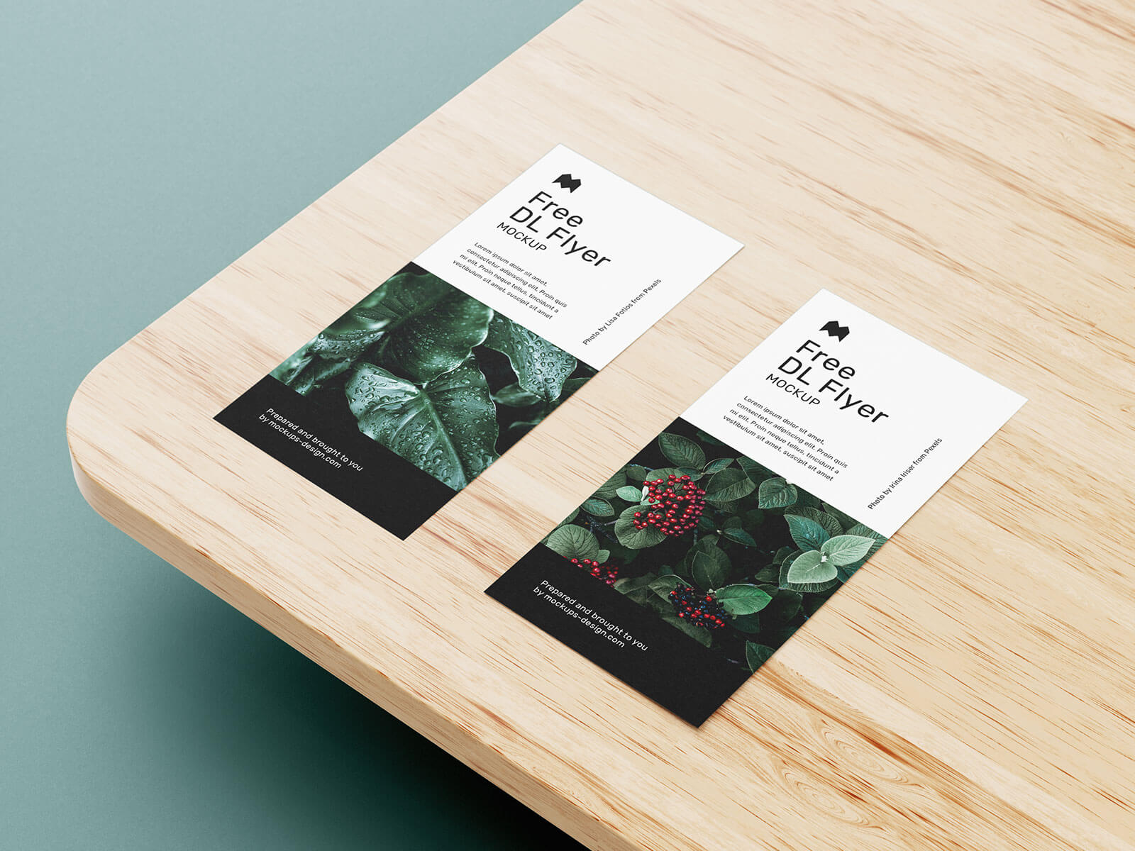 Free DL Flyer Leaflet Mockup PSD Set (6 Templates) (1)