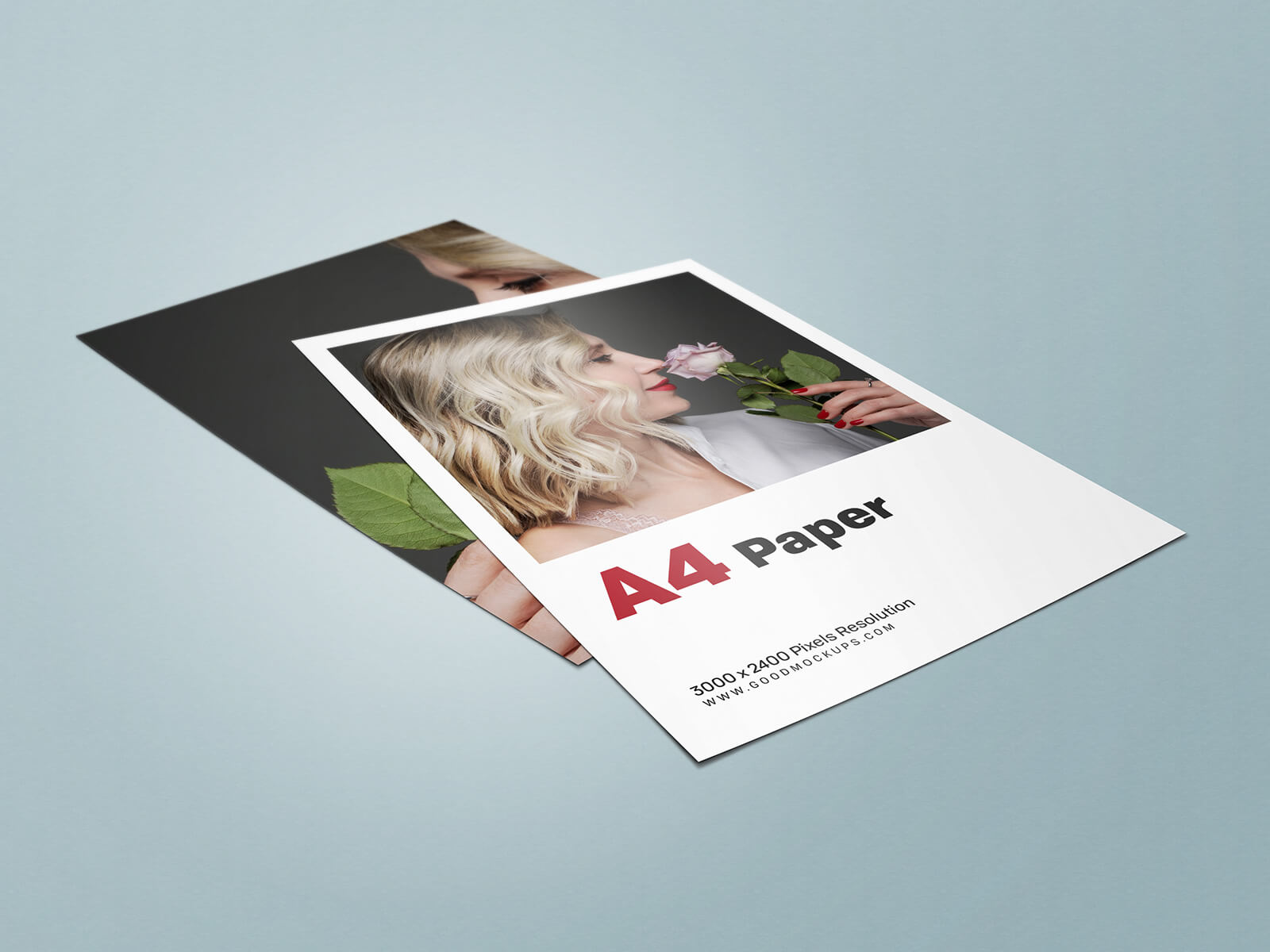 5 Free A4 Paper Flyer Mockup PSD Set