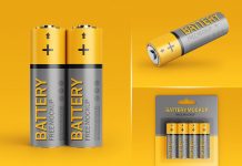 Free AA Battery Blister Pack Mockup PSD