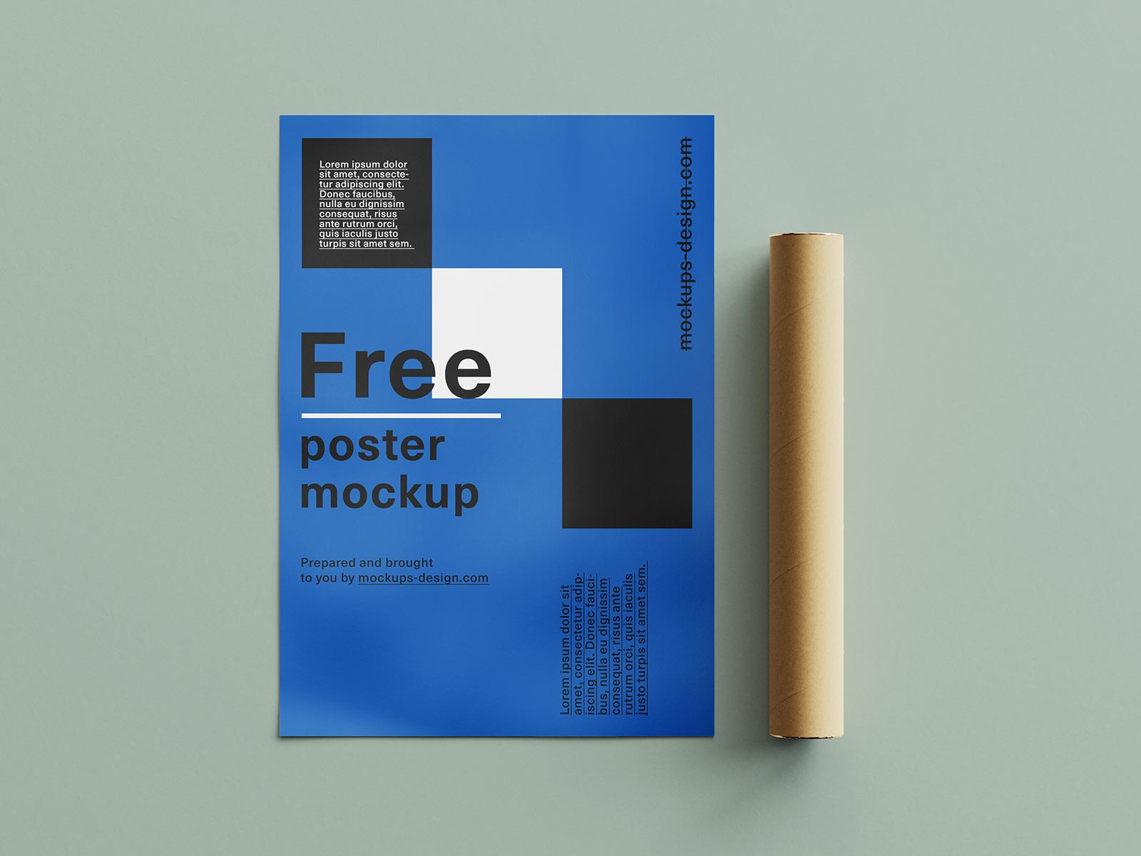 Free Curled Up Poster & Paper Tube Mockup PSD Set (1)