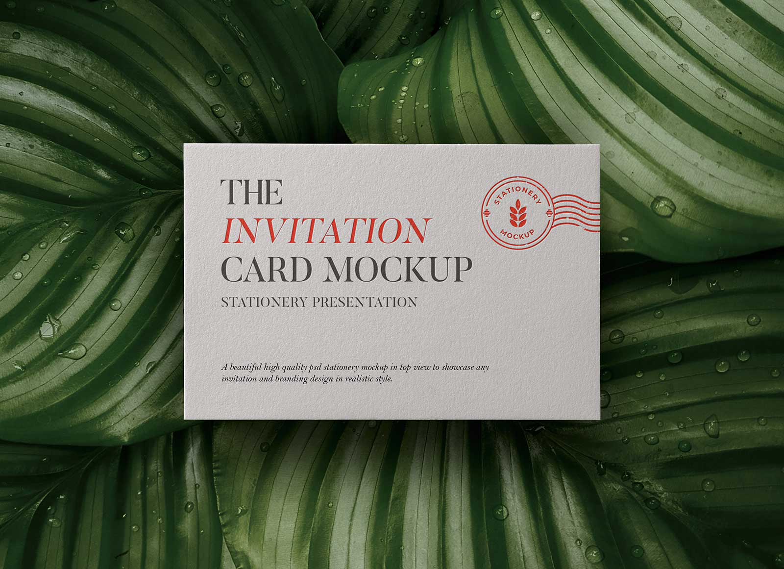 Free-Invitation-Card-Mockup-PSD
