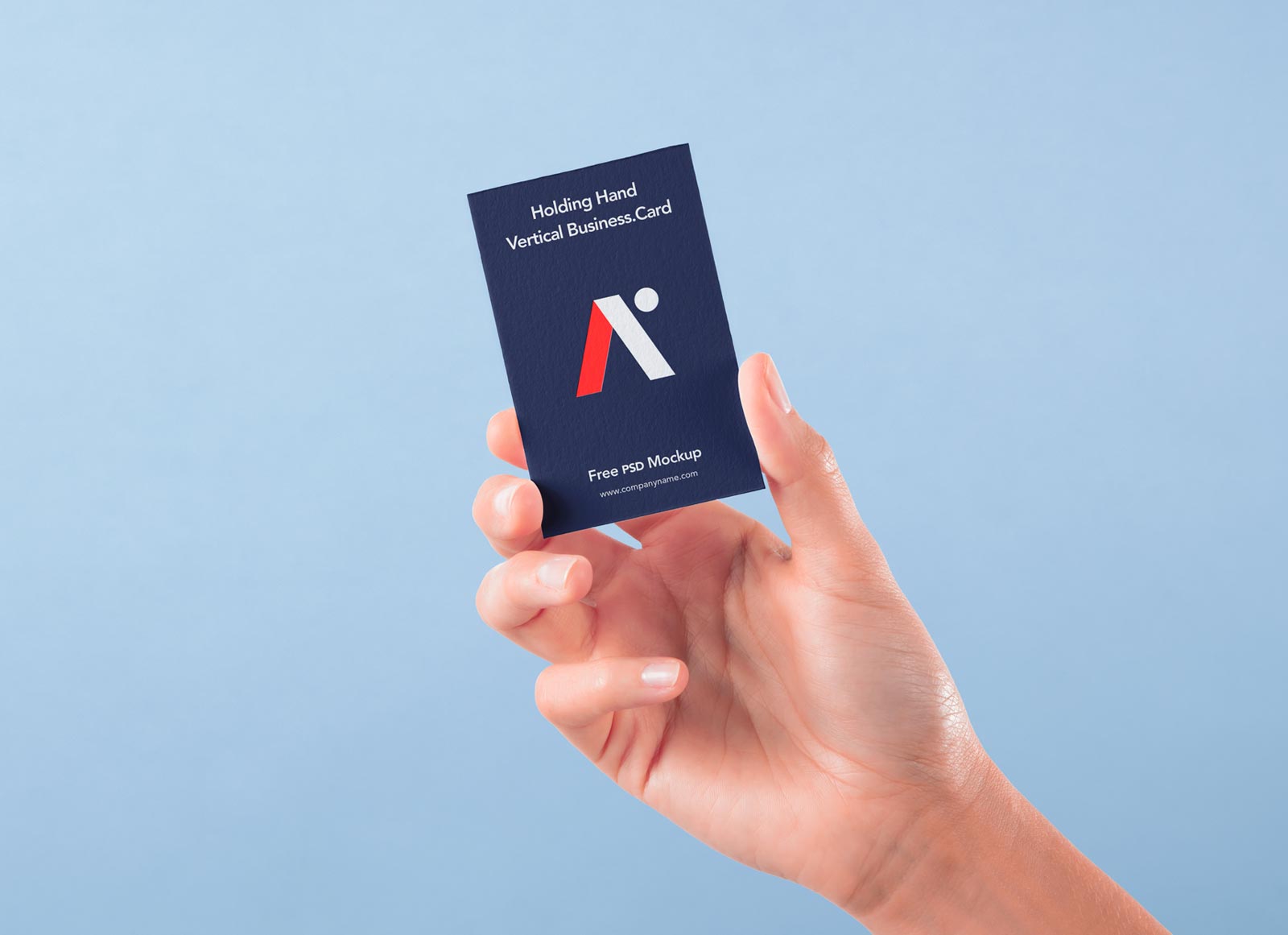 Free-Vertical-Business-Card-In-Hand-Mockup-PSD