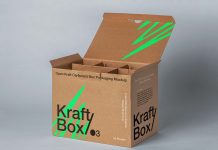Free-Cardboard-Carton-Box-With-Dividers-Mockup-PSD