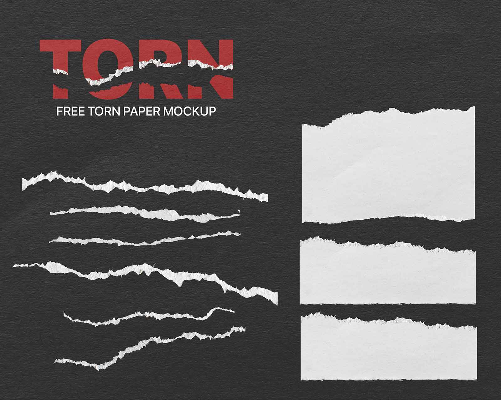 Free Torn Paper Effect Mockup PSD - Good Mockups