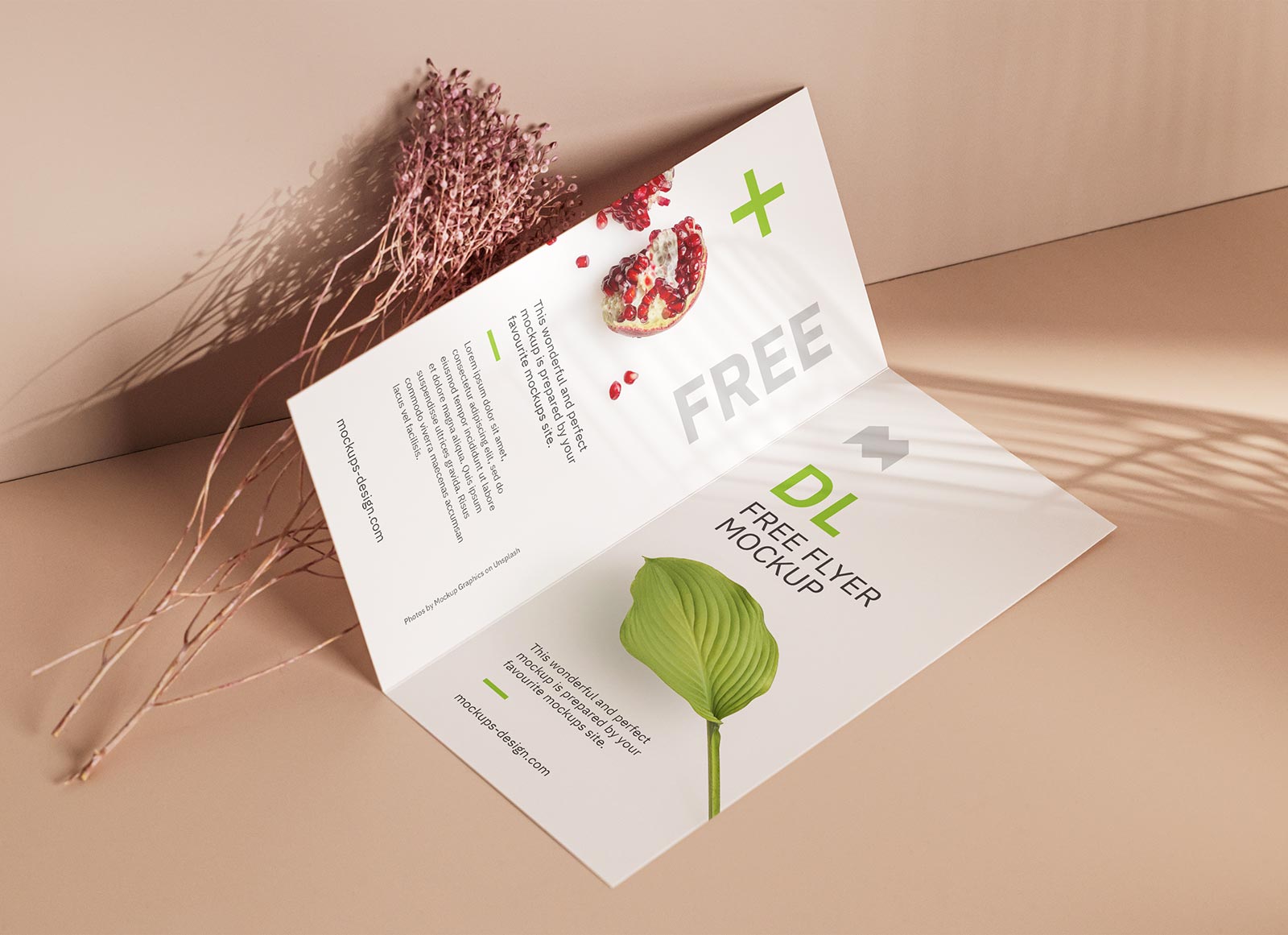 Free-Bi-Fold_DL_Flyer_Mockup-PSD