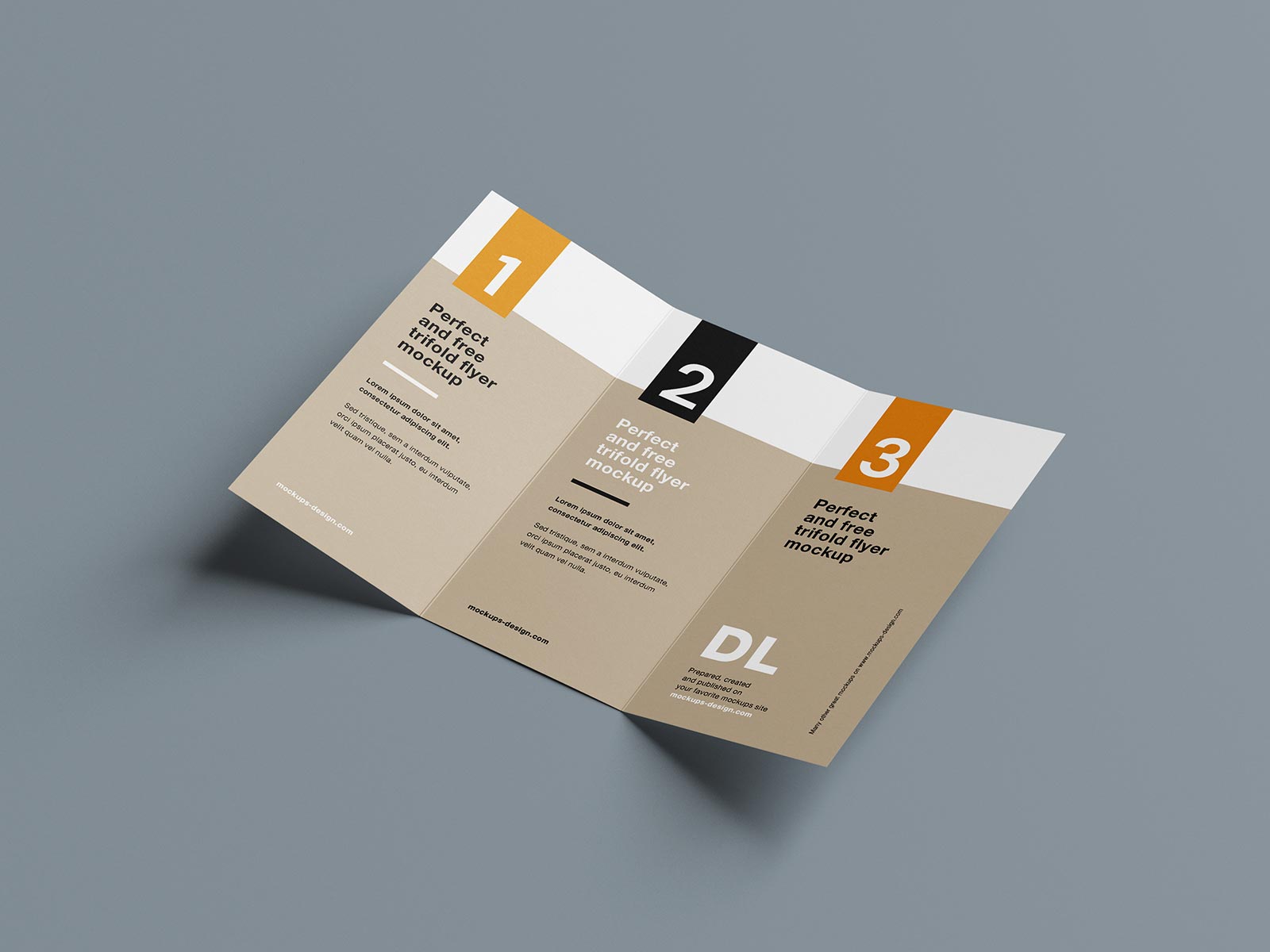 Trifold Brochure Mockups 11x17 size