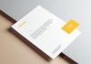 Free-Simple-Letterhead-With-Business-Card-Mockup-PSD