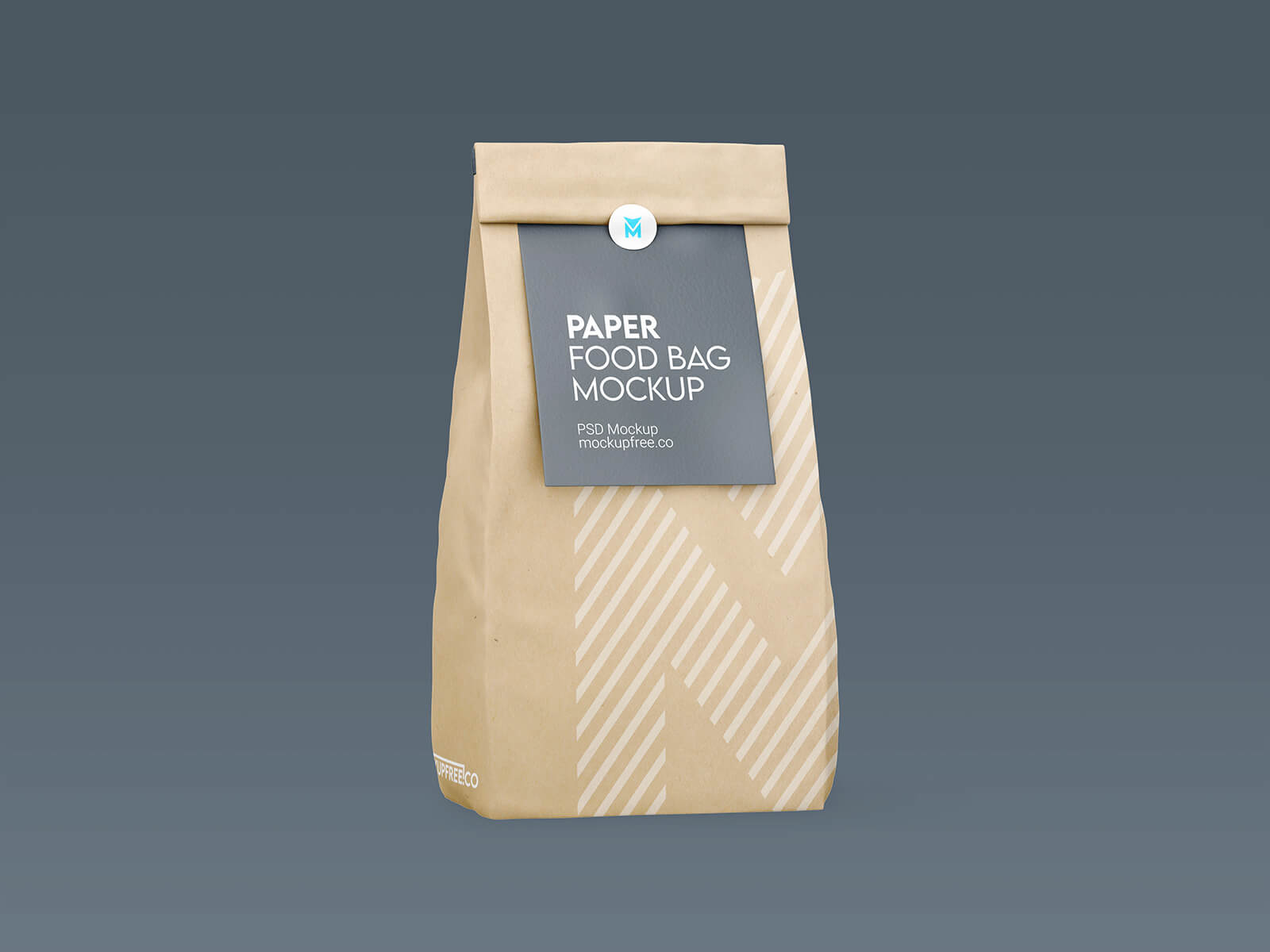 Free Kraft Paper Standing Pouch Mockup PSD Set