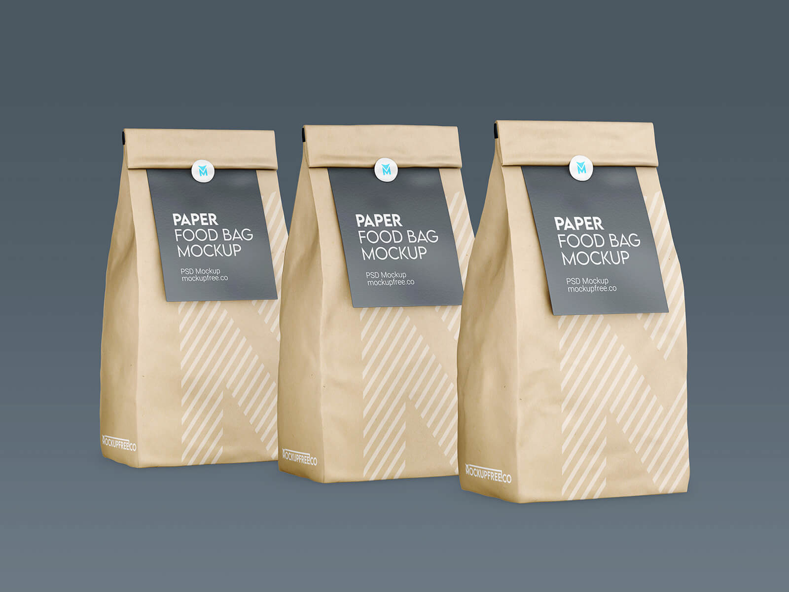 Free Kraft Paper Standing Pouch Mockup PSD Set