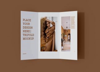 Free-Tri-Fold-Brochure-Mockup-PSD