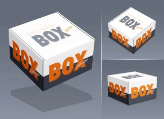 Free Delivery Square Box Mockup PSD Set