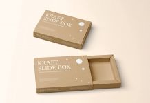 Free-Kraft-Paper-Slide-Box-Mockup-PSD