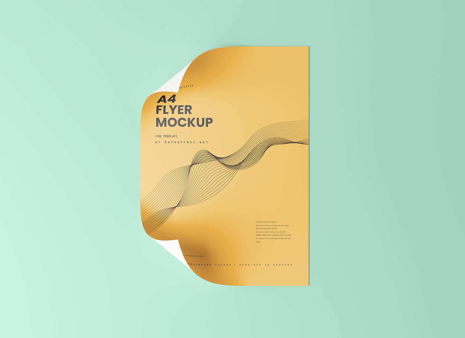 Free Curved Corner A4 Flyer Mockup PSD