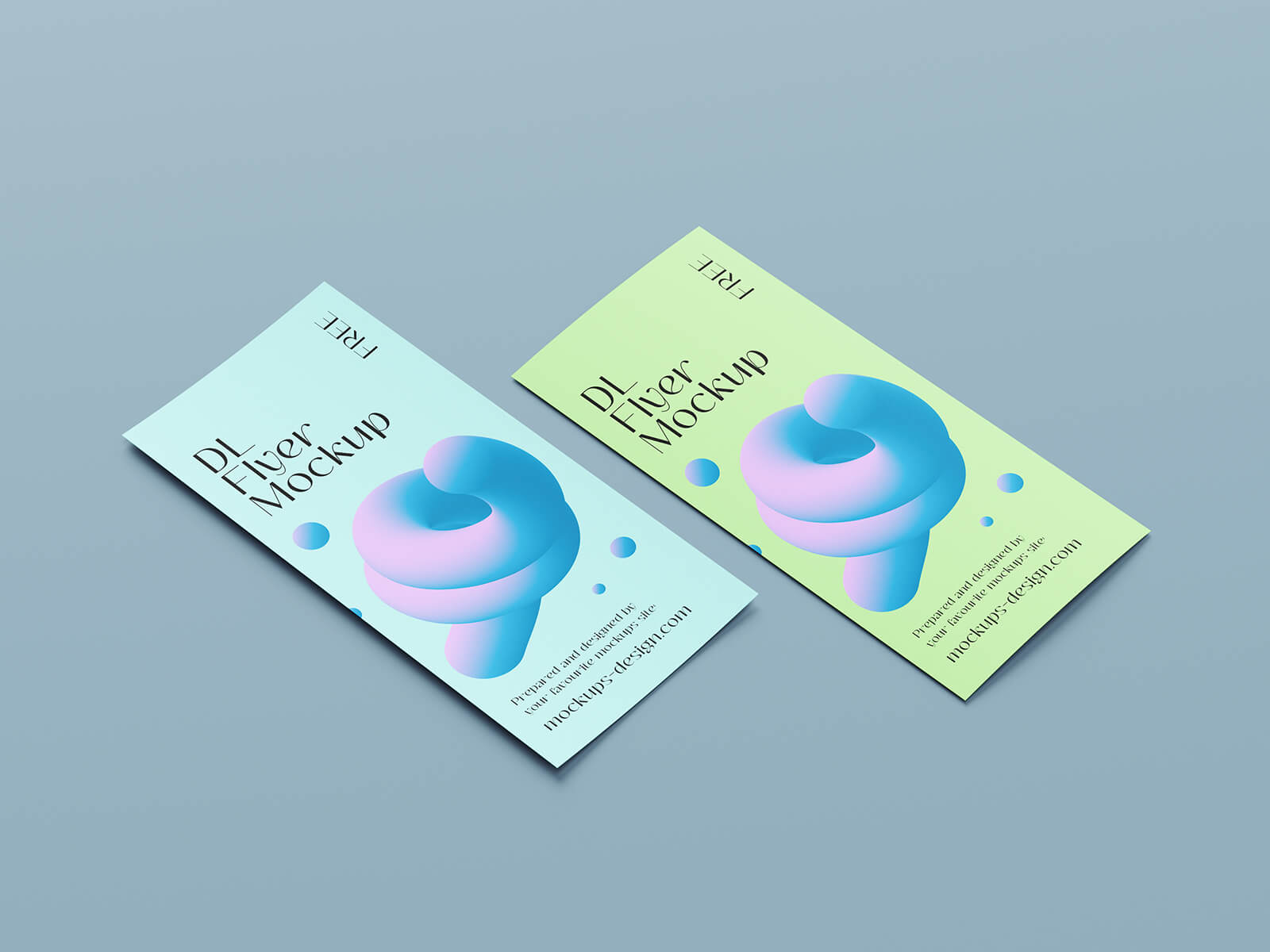 Free Minimalist DL Flyer Mockup PSD