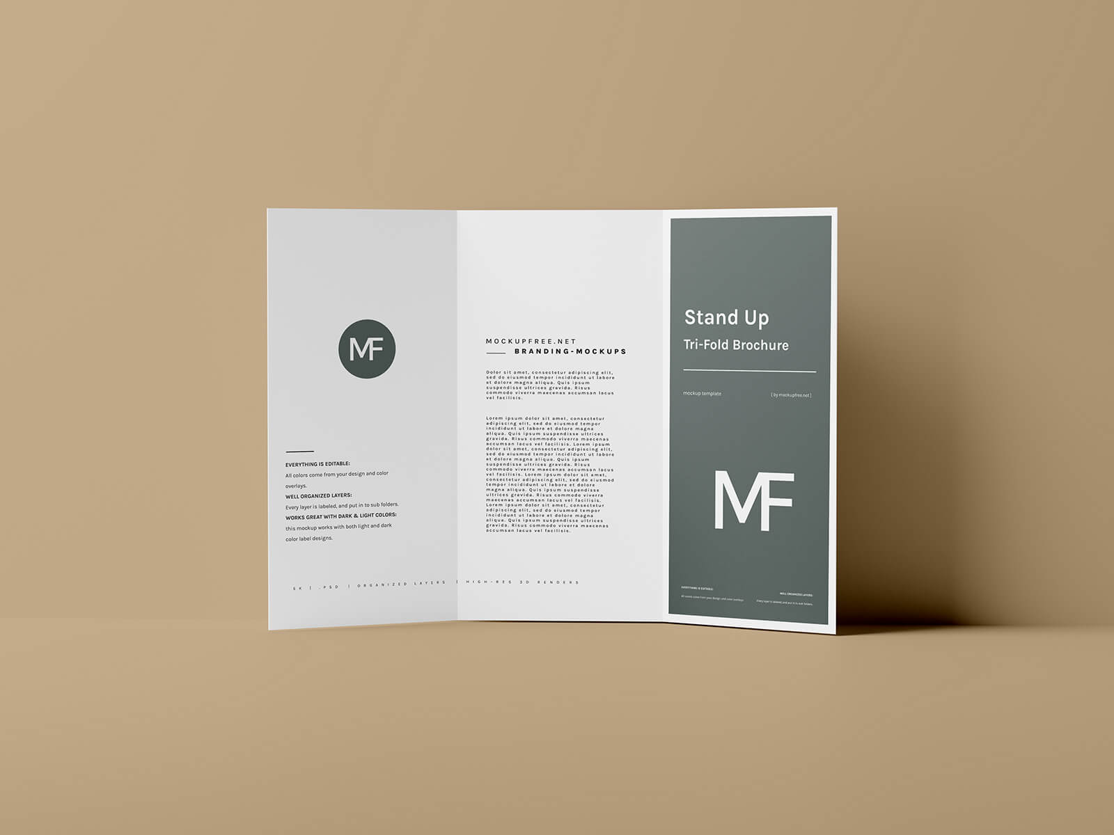 Free Stand-Up Tri-Fold Brochure Mockup PSD Files