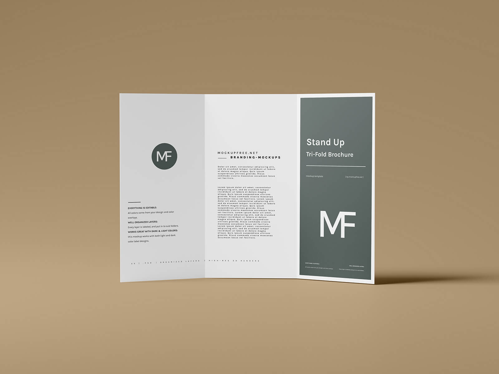 Free Stand-Up Tri-Fold Brochure Mockup PSD Files