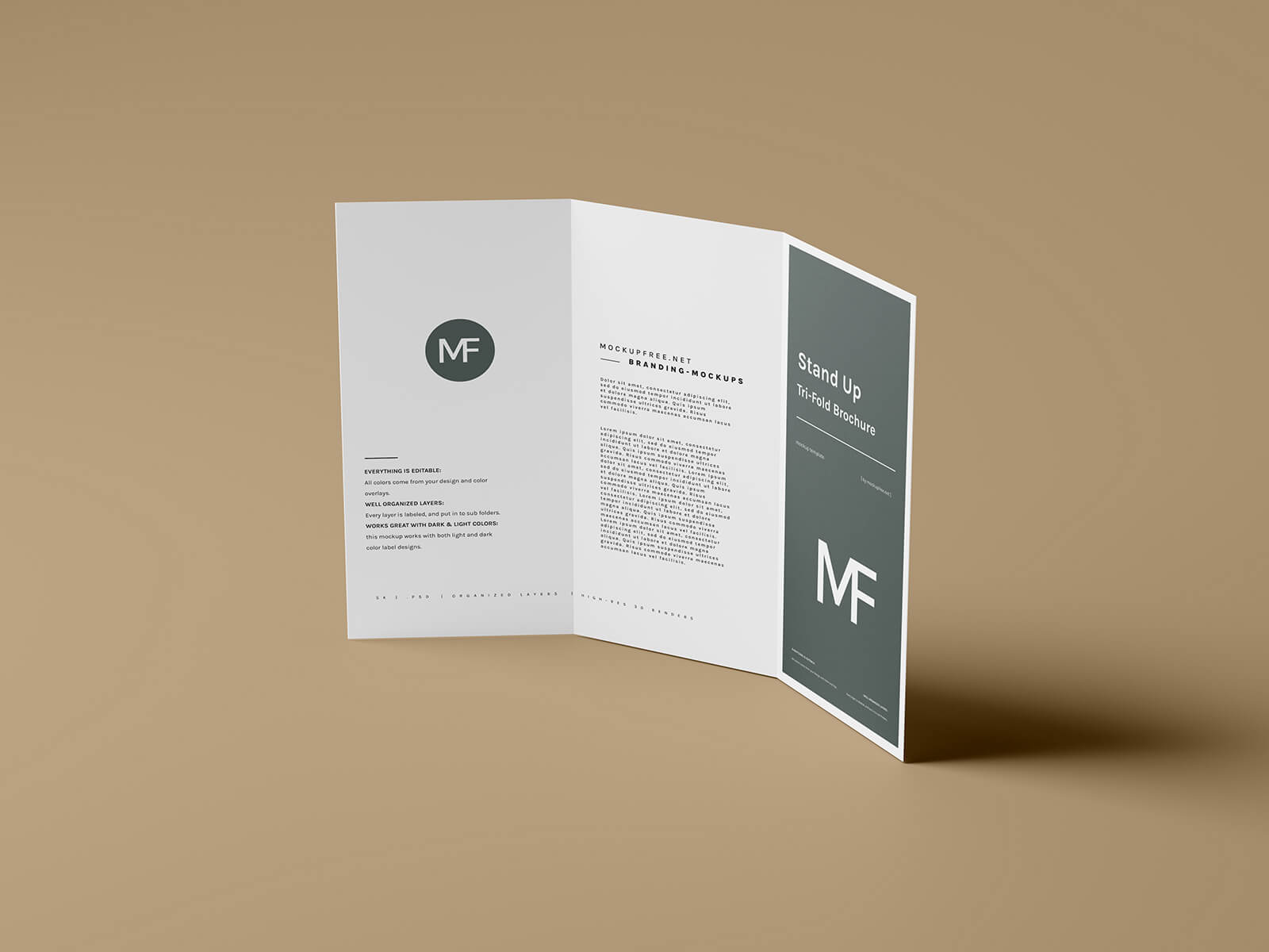 Free Stand-Up Tri-Fold Brochure Mockup PSD Files