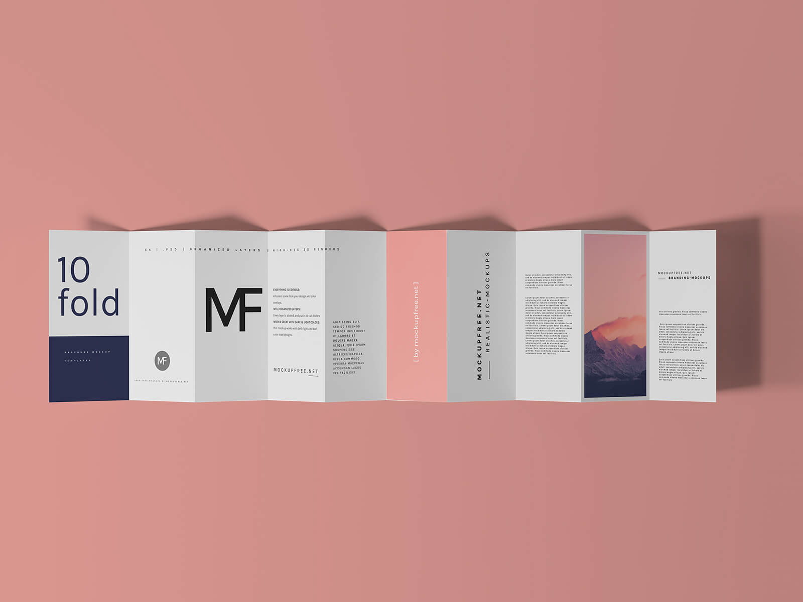 Free DL 10-Panel Accordion Fold Brochure Mockup PSD