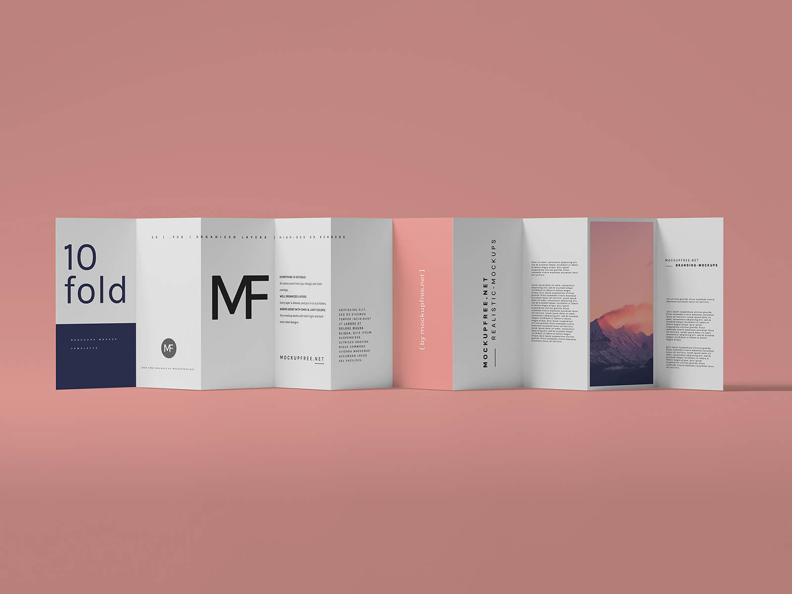 Free DL 10-Panel Accordion Fold Brochure Mockup PSD