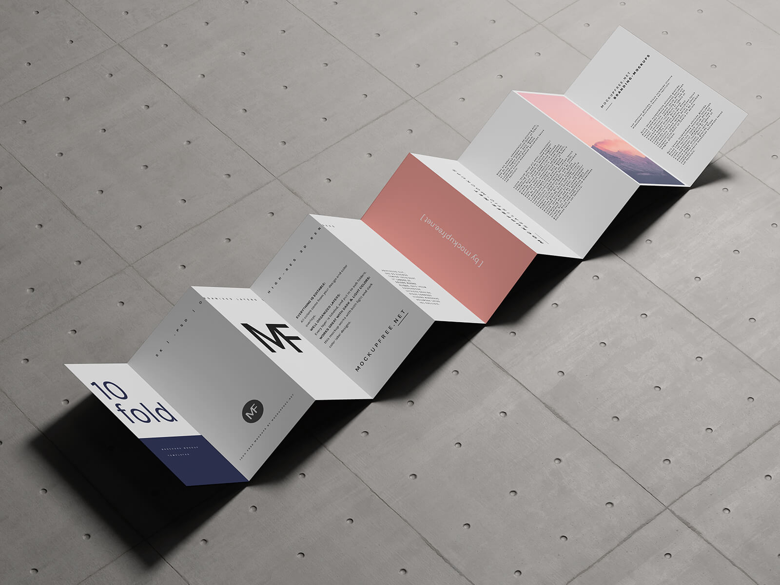 Free DL 10-Panel Accordion Fold Brochure Mockup PSD