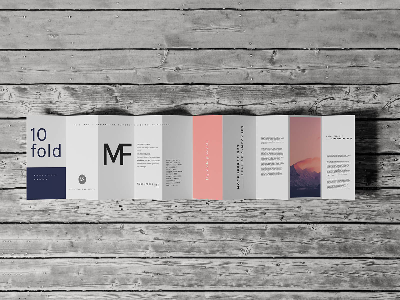 Free DL 10-Panel Accordion Fold Brochure Mockup PSD