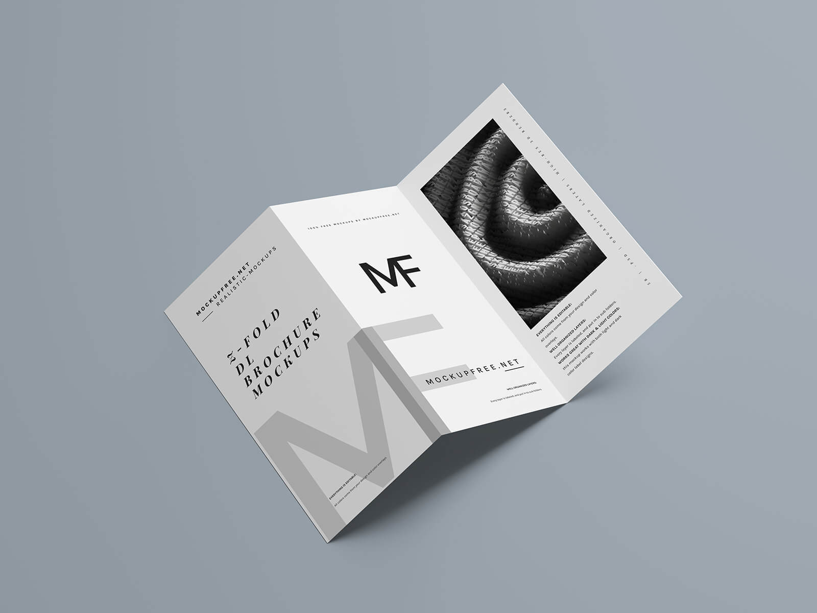 Free DL Z-Fold Brochure Mockup PSD