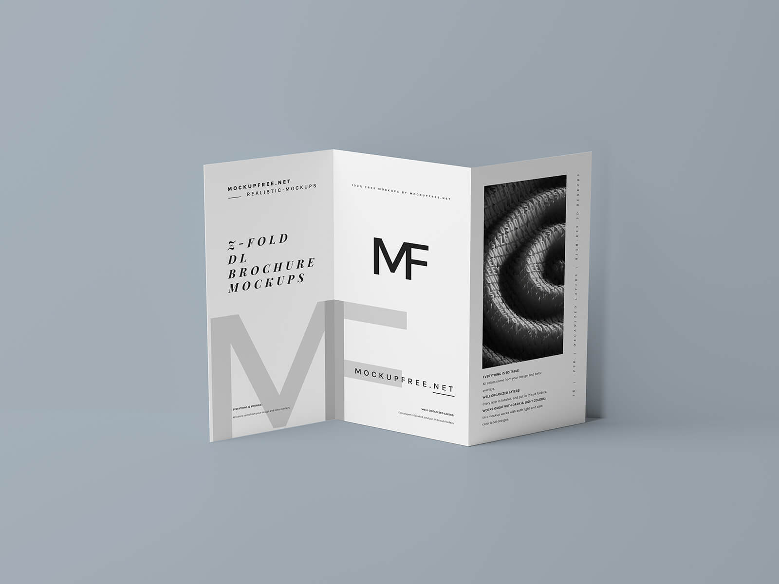 Free DL Z-Fold Brochure Mockup PSD